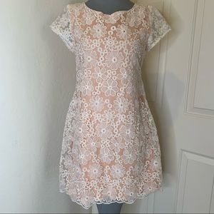 Francesca’s Louisville Peach/Cream Floral Lace Sheer Shift Dress, M
